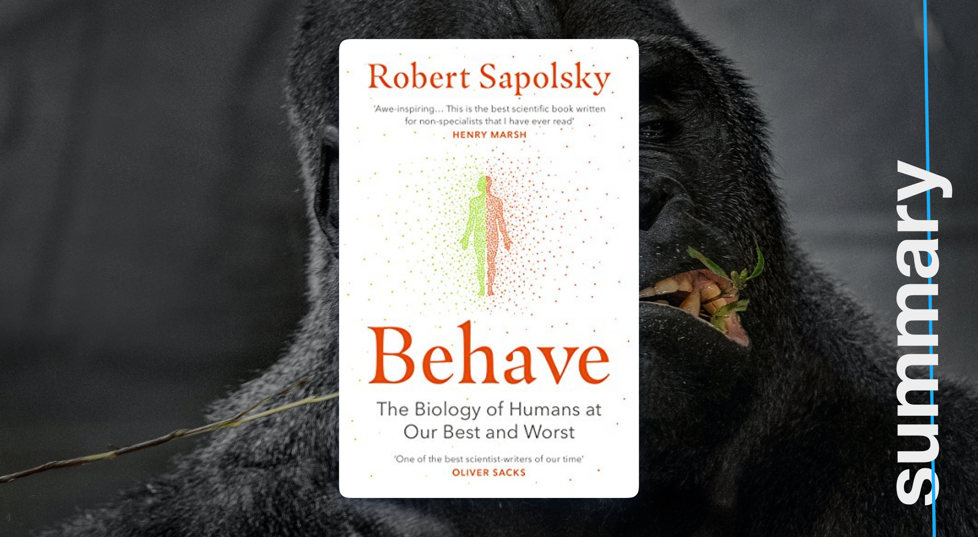 Behave — Sixteen. Biology, the Criminal Justice System, and (Oh, Why Not?)  Free Will